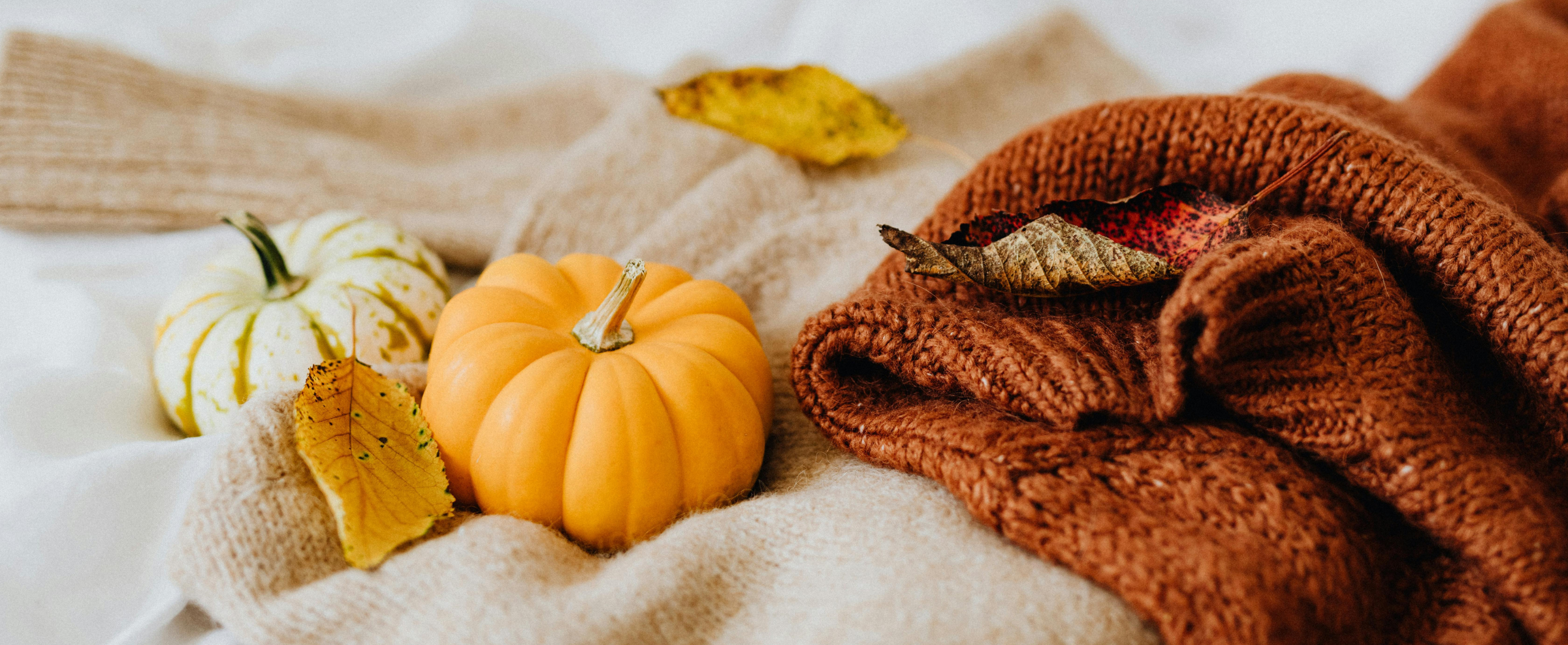 The Autumn Audit: 5 Skincare and Haircare Essentials for the March Transition