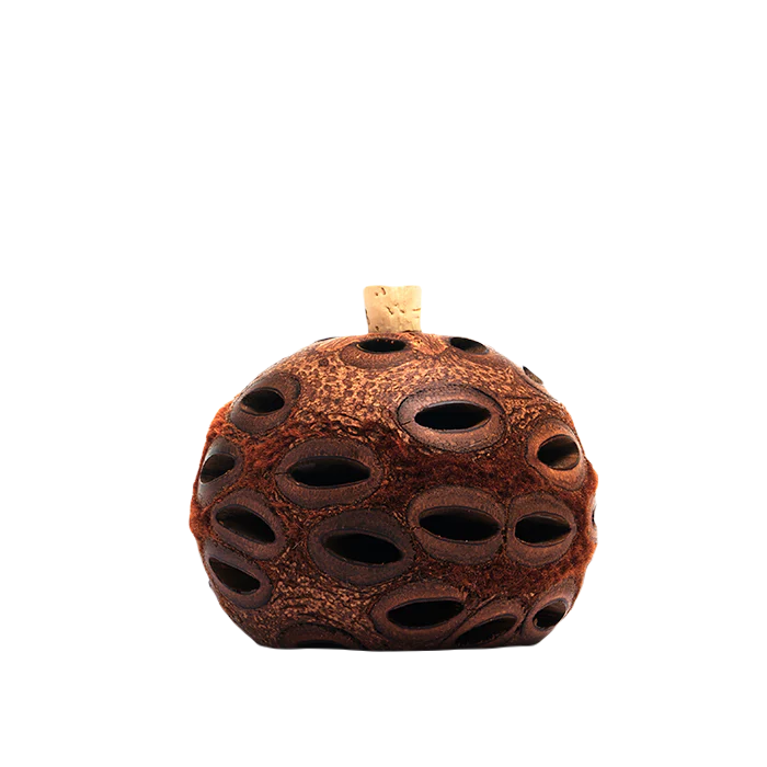 This natural diffuser makes an elegant gift, perfect for any small area.
The Banksia Seed Pod Diffuser is a hand-made one-off piece that is finely crafted from the iconic and uniquely Australian Banksia seed pod. Doterra Oils Australian stockist. Free Shipping for orders over $350. Shipping only in Australia. Shop now!