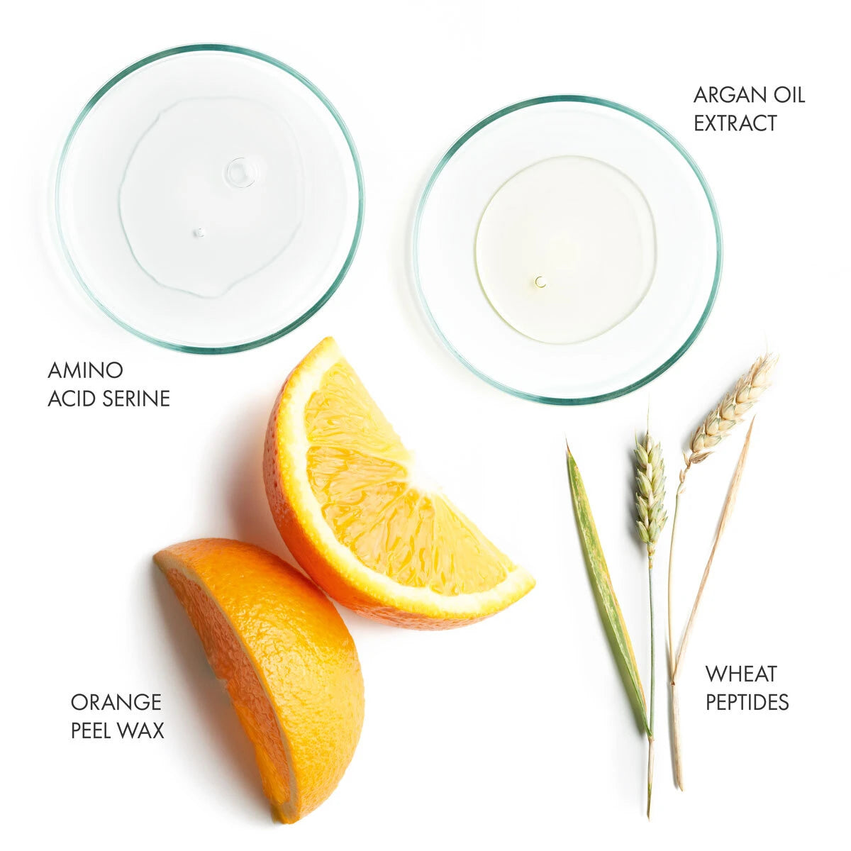 Key ingredients of Curl range from La Biosthetique. Amino Acid Serine, Argan Oil Extract, Orange Peel Wax and Wheat Peptides.