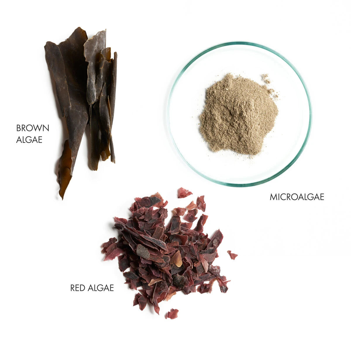 Key Ingredients of Homme Hair Beard Body Wash (3 in 1) from La Biosthetique. Brown Algae, Microalgae, and Rad Algae. Monecious is a La Biosthetique Stockist based in Geelong, Australia.