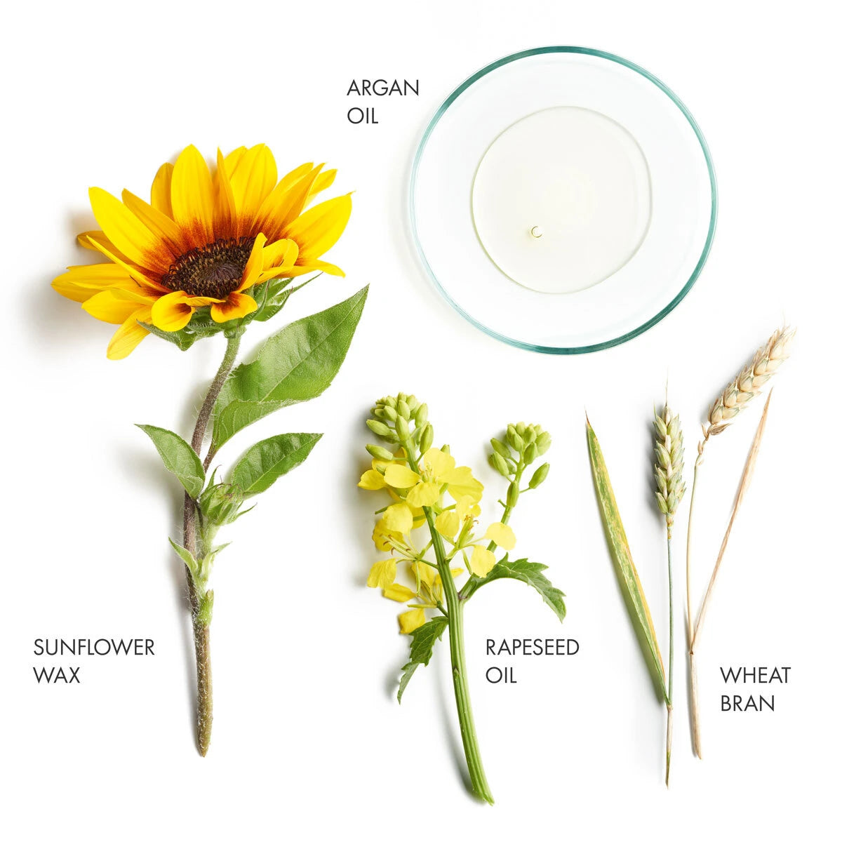 Key Ingredients of Long Hair range from La Biosthetique. Monecious is a stockist of La Biosthetique Hair Care products based in Geelong, Australia.