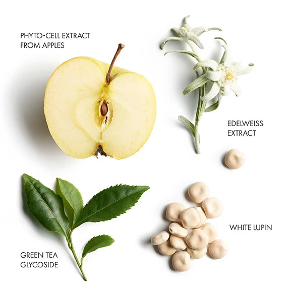Key Ingredients of La Biosthetique Methode Regenerante. Phyto-Cell Extract from Apples, Edelweiss Extract, Green Tea Glycoside, and White Lupin. Monecious is one of La Biosthetique's stockist based in Geelong, Australia.