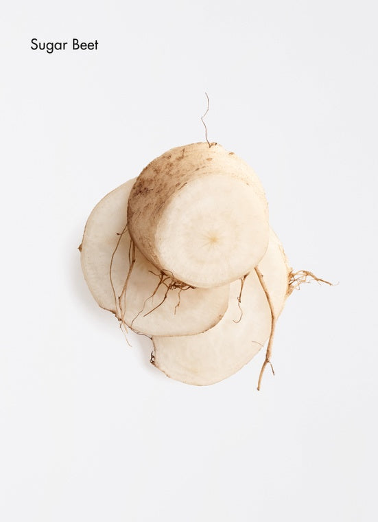 One of the key ingredents of La Biosthetique Moisture Control Shampoo for moist scalp. Sugar Beet Derivative: Deeply conditions and hydrates all hair types, improving manageability, control, and shine.