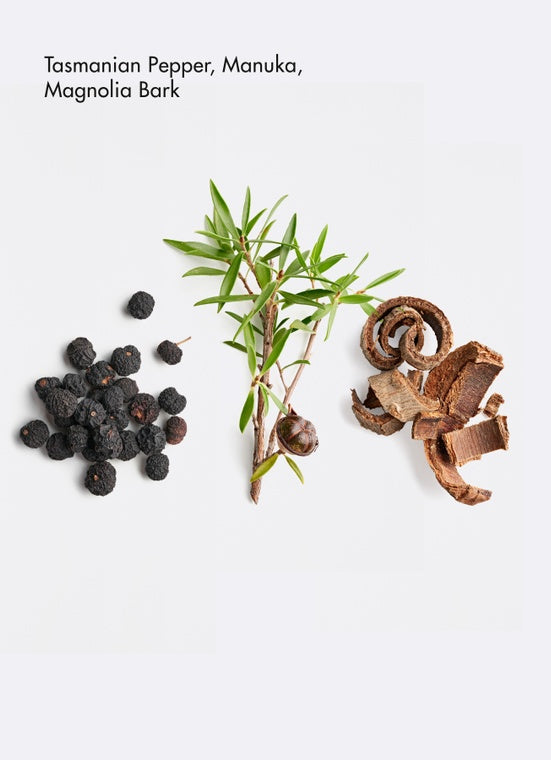 Tasmanian Pepper, Manuka, and Magnolia Bark - ingredents of La Biosthetique Balancing Lipokerine A Shampoo. Monecious is an Australian stockist based in Belmont, Geelong. Shop now!