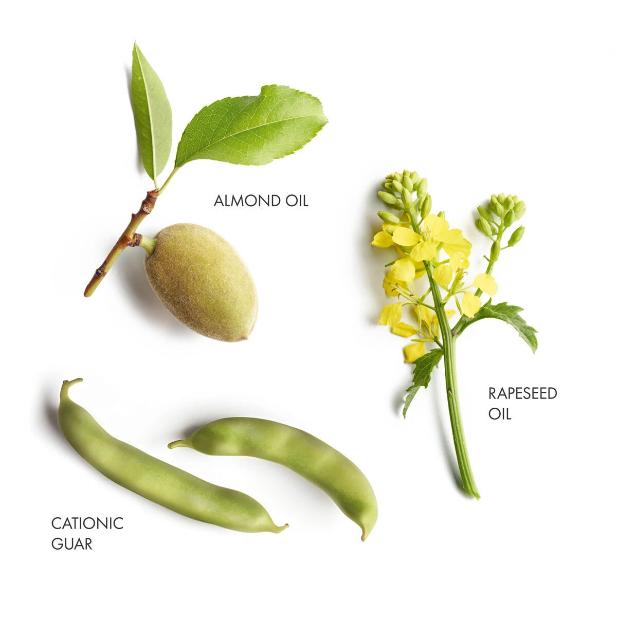 Key Ingredients of Frizz Control range from La Biosthetique. Monecious is a stockist of La Biosthetique based in Geelong, Australia.