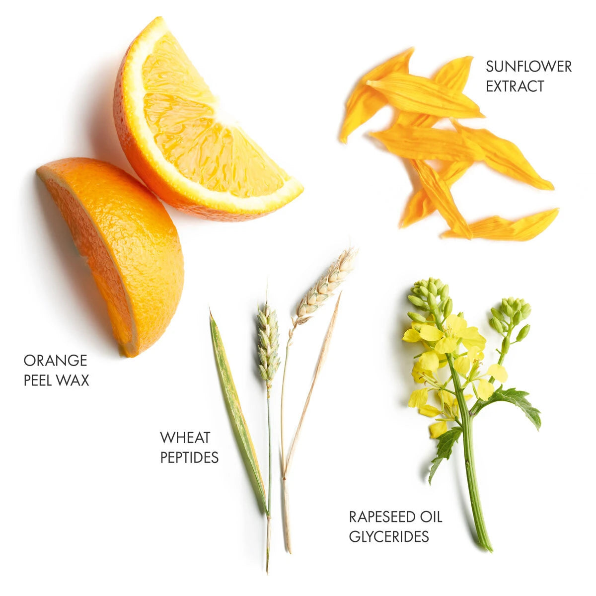 Key Ingredients of Soleil range from La Biosthetique. Orange Peel Wax, Sunflower Extract, Wheat Peptides, and Rapeseed Oil Glycerides. Monecious is one of La Biosthetique's stockist from Australia.