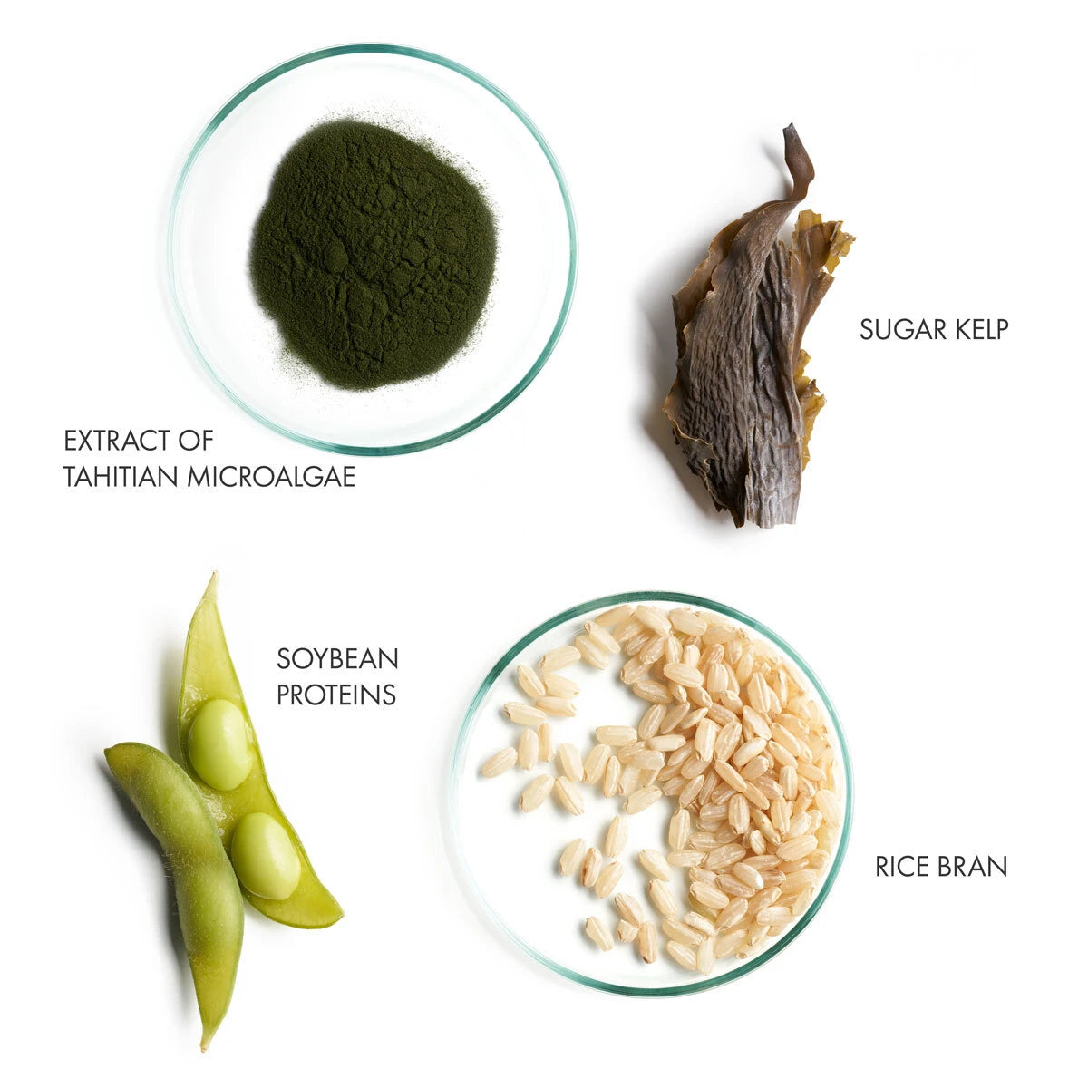 Key Ingredients of Volume range from La Biosthetique. Extract of Tahitian Microalgae, Sugar Kelp, Soybean Proteins, and Rice Bran. Monecious is an Australian stockist of La Biosthetique based in Geelong.