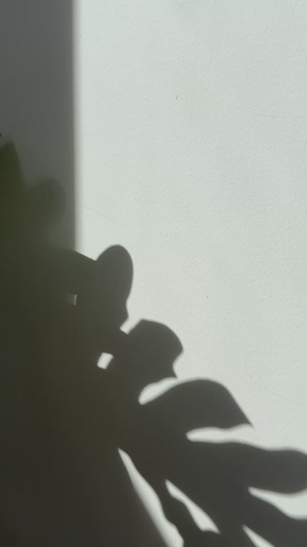 Hanami Nail Serum. This fast-absorbing, non-greasy formula is loaded with organic oils to strengthen, nourish, and hydrate, helping you grow your healthiest, happiest nails yet. Hanami Australian stockist. Shipping Australia-wide. Free Shipping for orders over $350.