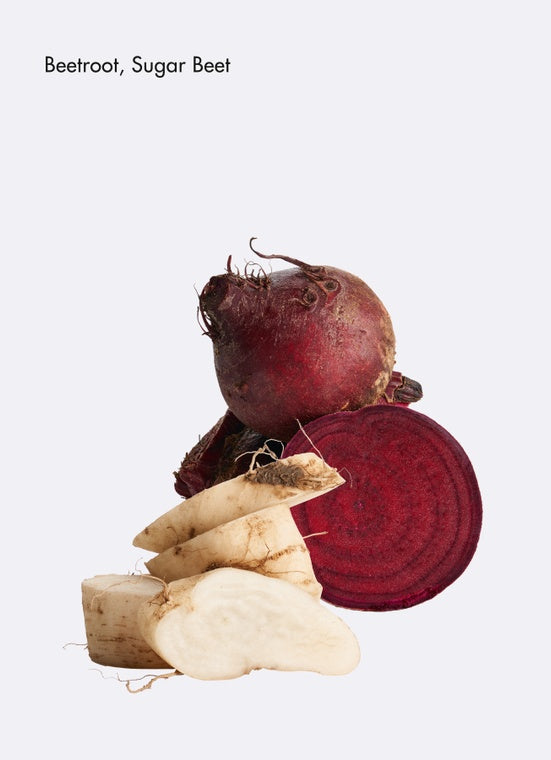 Beetroot and sugar beet on a white background. La Biosthetique Restoring Scalp Lotion. Monecious is an Australian stockist of La Biosthetique based in Geelong. Shipping all over Australia. Shop now!
